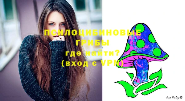 меф Бородино