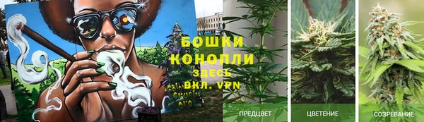 меф Бородино